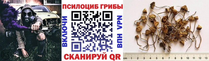 Галлюциногенные грибы мухоморы  Краснослободск 
